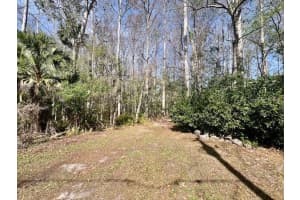 0 SOUTHWOOD COURT, NEW PORT RICHEY, FL 34654 - MLS#MFRW7883211