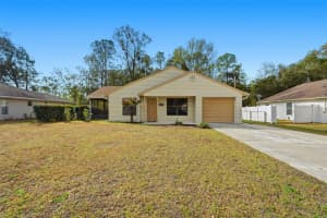 21174 PEACH BLOSSOM STREET, DUNNELLON, FL 34431 - MLS#MFRW7883218