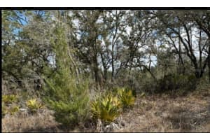 18308 PARAKEET ROAD, BROOKSVILLE, FL 34614 - MLS#MFRW7883226