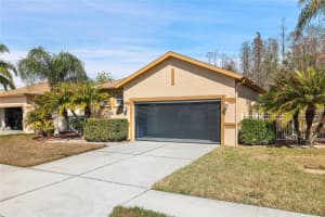 20907 DIAMONTE DRIVE, LAND O LAKES, FL 34637 - MLS#MFRW7883246