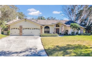 8021 MOONLIGHT LANE, NEW PORT RICHEY, FL 34654 - MLS#MFRW7883280