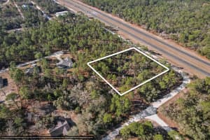 17496 NICASIO JAY AVENUE, WEEKI WACHEE, FL 34614 - MLS#MFRW7883302