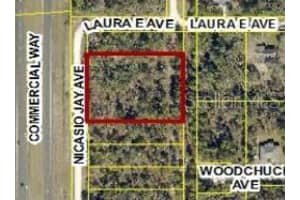 17496 NICASIO JAY AVENUE, WEEKI WACHEE, FL 34614 - MLS#MFRW7883302