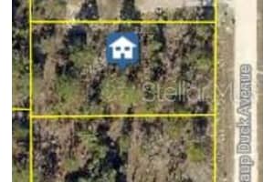 16051 SCAUP DUCK AVENUE, WEEKI WACHEE, FL 34614 - MLS#MFRW7883309