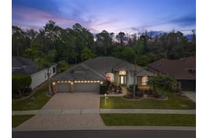 1450 WARRINGTON WAY, TRINITY, FL 34655 - MLS#MFRW7883330