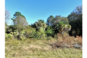 CANDLENUT ST, NORTH PORT, FL 34288 - MLS#MFRW7883333