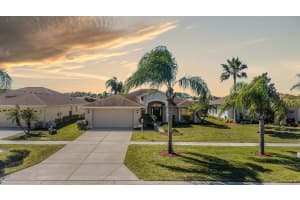 1751 LAKESTONE DRIVE, TRINITY, FL 34655 - MLS#MFRW7883363