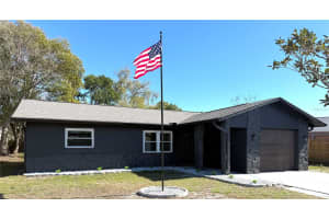 12914 BUCKHORN DRIVE, HUDSON, FL 34669 - MLS#MFRW7883372