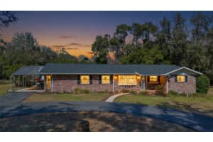 23041 DEWITT DRIVE, BROOKSVILLE, FL 34601 - MLS#MFRW7883391