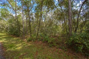 3210 MICHAEL STREET, INVERNESS, FL 34453 - MLS#MFRW7883407