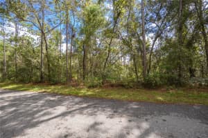 3210 MICHAEL STREET, INVERNESS, FL 34453 - MLS#MFRW7883407
