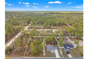 11107 WOOD OWL AVENUE, WEEKI WACHEE, FL 34614 - MLS#MFRW7883415