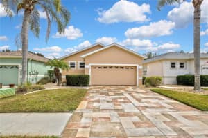 8144 AMBERSWEET PLACE, LAND O LAKES, FL 34637 - MLS#MFRW7883421