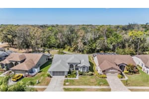 9525 SPRINGMEADOW DRIVE, NEW PORT RICHEY, FL 34655 - MLS#MFRW7883440