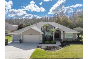 1105 ARLINBROOK DRIVE, TRINITY, FL 34655 - MLS#MFRW7883475