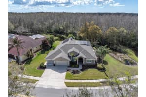 1105 ARLINBROOK DRIVE, TRINITY, FL 34655 - MLS#MFRW7883475
