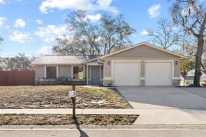 10220 TURKEY OAK DRIVE, NEW PORT RICHEY, FL 34654 - MLS#MFRW7883496