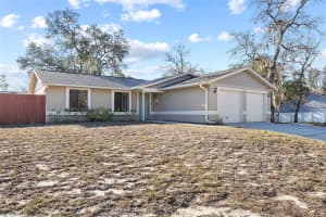 10220 TURKEY OAK DRIVE, NEW PORT RICHEY, FL 34654 - MLS#MFRW7883496