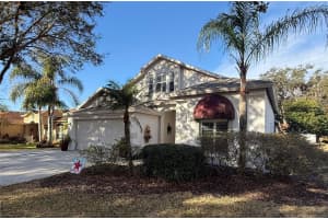 10317 TARRAGON DRIVE, RIVERVIEW, FL 33569 - MLS#MFRW7883516