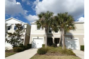 1505 SUNSET WIND LOOP, OLDSMAR, FL 34677 - MLS#MFRW7883526