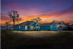 10318 GIFFORD DRIVE, SPRING HILL, FL 34608 - MLS#MFRW7883527