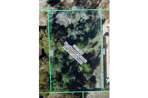 11230 MONTCALM ROAD, SPRING HILL, FL 34608 - MLS#MFRW7883542