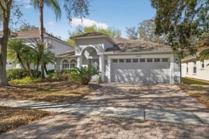 5209 Abbey Park Ave, TAMPA