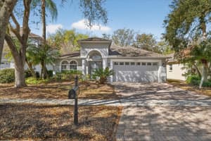 5209 ABBEY PARK AVENUE, TAMPA, FL 33647 - MLS#MFRW7883567