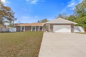 14114 Bardsdale Ln, TAMPA