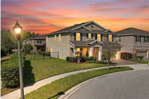 4124 CADENCE LOOP, LAND O LAKES, FL 34638 - MLS#MFRW7883614