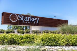 12396 FITZROY STREET, ODESSA, FL 33556 - MLS#MFRW7883641