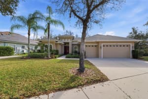 14834 MAN O WAR DRIVE, ODESSA, FL 33556 - MLS#MFRW7883658