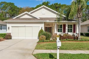 11429 MERGANSER WAY, NEW PORT RICHEY, FL 34654 - MLS#MFRW7883691