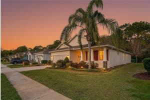 11429 MERGANSER WAY, NEW PORT RICHEY, FL 34654 - MLS#MFRW7883691