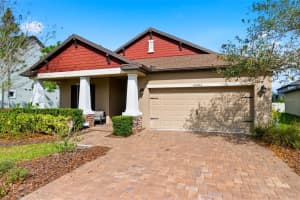 12383 FITZROY STREET, ODESSA, FL 33556 - MLS#MFRW7883696