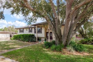 1462 LAKEVIEW DRIVE, TARPON SPRINGS, FL 34689 - MLS#MFRW7883698