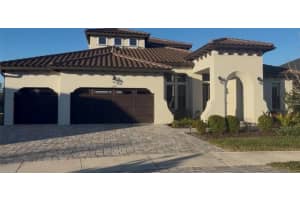 16165 November Rain Ct, LAND O LAKES 16165 November Rain Ct, LAND O LAKES