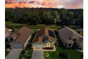 9819 CONSERVATION DRIVE, NEW PORT RICHEY, FL 34655 - MLS#MFRW7883725