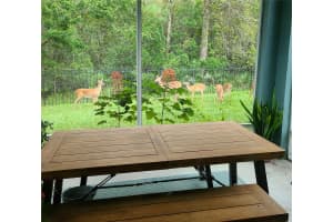 11150 PARADISE POINT WAY, NEW PORT RICHEY, FL 34654 - MLS#MFRW7883738