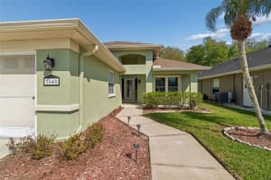 1648 ORCHARDGROVE AVENUE, NEW PORT RICHEY, FL 34655 - MLS#MFRW7883746