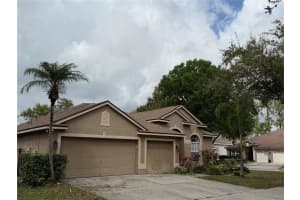 10132 Downey Ln, TAMPA