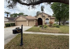10132 DOWNEY LANE, TAMPA, FL 33626 - MLS#MFRW7883753