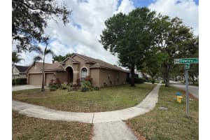 10132 DOWNEY LANE, TAMPA, FL 33626 - MLS#MFRW7883753