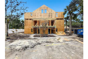 3313 HAVILAND COURT, PALM HARBOR, FL 34684 - MLS#MFRW7883789