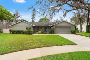 2803 Corrie Way, TAMPA