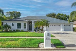 18902 Saint Laurent Dr, LUTZ