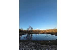 1106 FOX HUNTER RD, PERRY, FL 32348 - MLS#MFRW7883828