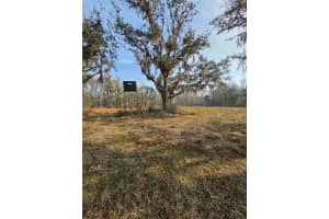 1106 FOX HUNTER RD, PERRY, FL 32348 - MLS#MFRW7883828