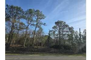 13070 QUIGLEY AVENUE, WEEKI WACHEE, FL 34614 - MLS#MFRW7883849