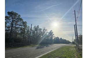 13070 QUIGLEY AVENUE, WEEKI WACHEE, FL 34614 - MLS#MFRW7883849